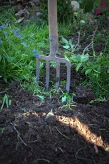 jardinage de printemps