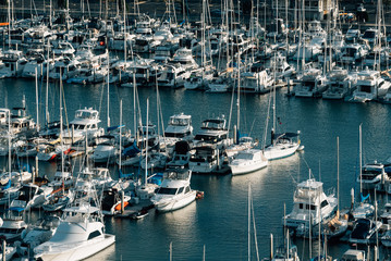 View of boats in a marina in the harbor, in Dana Point, Orange County, California