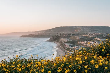 Fotobehang Kust Gele bloemen en uitzicht op Strand Beach vanaf Dana Point Headlands Conservation Area, in Dana Point, Orange County, Californië  © jonbilous