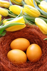 Jajka barwione kurkumą otoczone żółtymi tulipanami i brązowym sizalem