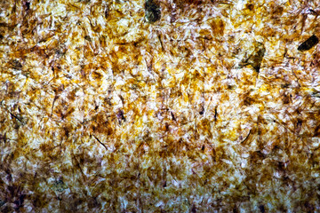 dried leaf seaweed nori, abstract textured background