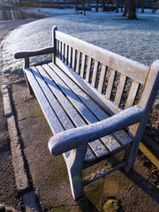 Frozen park bench
