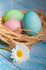 easter and colored eggs