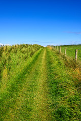 Fototapeta na wymiar Walking Path in Northern Ireland
