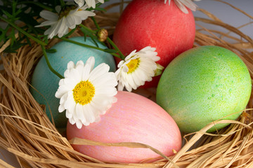 easter and colored eggs