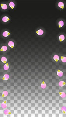 Vector Realistic Pink Petals Falling on Transparent Background.  Spring Romantic Flowers Illustration. Flying Petals. Sakura Spa Design. Blossom Confetti.