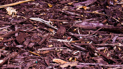 Dark brown wooden chips with natural leaves and branches on the ground.