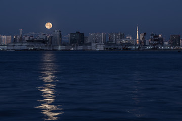 Obraz premium tokyobaymoon-2