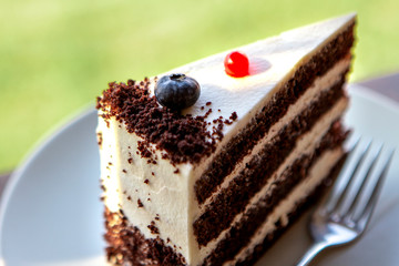 sunshine shines with its rays on an appetizing piece of cake on a green natural background