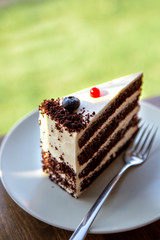 a delicious piece of cake lit warm summer rays