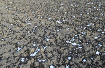 Melting snow on plowed soil