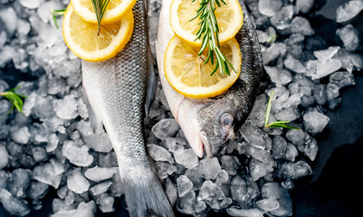chilled raw sea bass and dorado fish with lemon and rosemary on ice, on a stone background