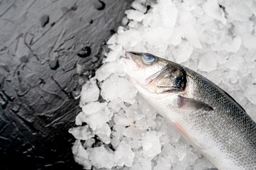 chilled raw sea bass fish on ice near a stone