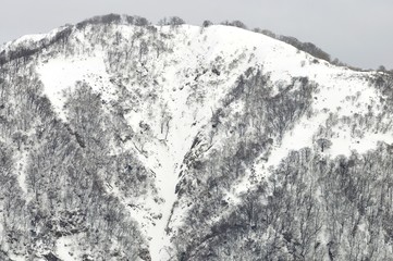 白雪の山稜