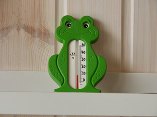 thermometer in the shape of a green frog