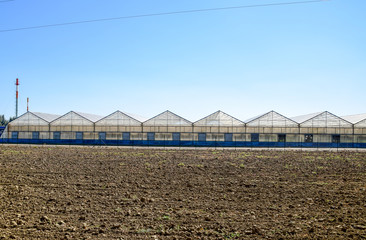 Obraz premium Polycarbonate greenhouses. Greenhouse complex. Greenhouses for growing vegetables under the closed ground