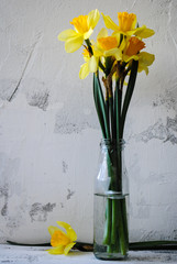 Bouquet of daffodils in a glass jar