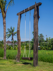 Rope swing in a green rice field. Bali.