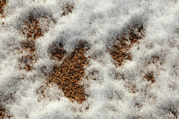 Snow on sea sand