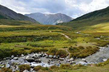 Fototapeta na wymiar Russia, Republic of Altai, river Shabaga in summer