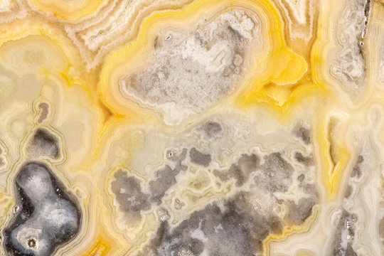 Crazy Lace Agate Closeup