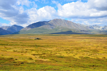 Fototapeta premium Russia, Republic of Altai, plateau Yoshtykyol in cloudy day