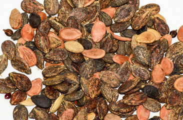 Seeds of watermelon on a white background. watermelon seeds for sowing.