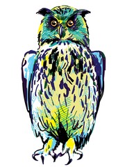 Owl sits with folded wings. Drawing by hand, drawing markers. Multicolored stylish pattern.