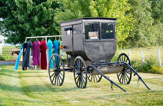 Amish Buggy for Sale on Wash Day