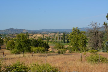 Campo al sur de Chile