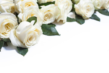 White rose flowers on white background