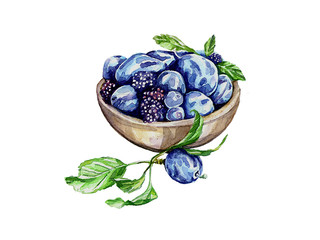 plum, watercolor, drawing, blue, purple, sweet, ripe, fruit, bone, wood, pulp, juice, nature, food, leaf, brush, smooth, summer, season, harvest, garden, plate, white, background, healthy, healthy, be