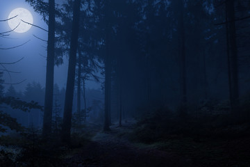 An eerie full moon, very scary, at night in the Teutoburg Forest in Germany, where you never want...
