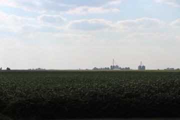 Grain Elevator with Field