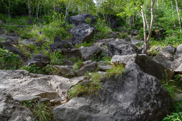 男体山の登山道