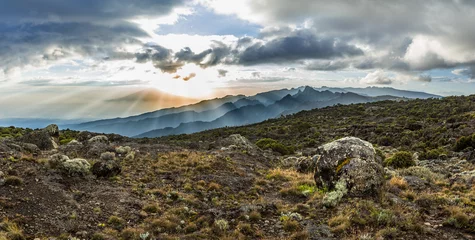 Papier Peint photo Kilimandjaro Panoramic view of sunset over Mount Meru in Tanzania taken from the Shira Cave camp on the Machame route of Kilimanjaro. Sunrays burst through the dramatic clouds towards moorland foliage and rocks.