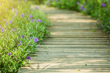 selective focus to wooden bridge and side blossom purple flower and bud of Waterkanon in the garden