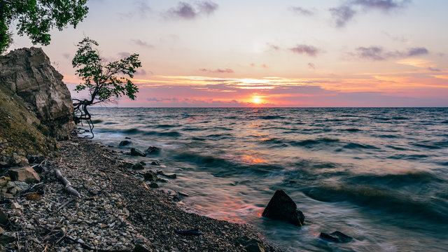 Tree on the rocky shore at sunrise