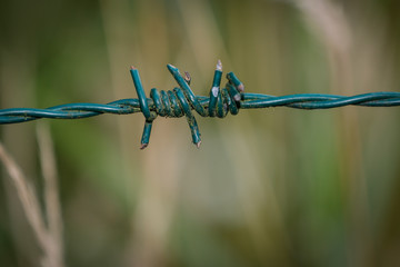 curled metal fencing wire abstract image
