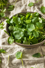 Raw Green Organic Living Cress