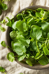 Raw Green Organic Living Cress