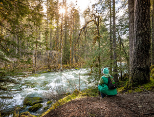 hiking trail in forest