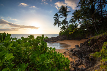 Fototapeta premium Maui Sunset beach cove 