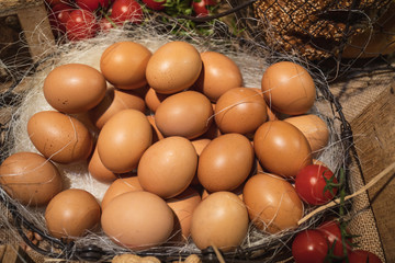 Eggs in basket on the organic farm of free chickens. Hickory hen's nest in the inner city barn