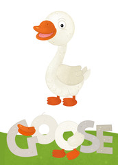 cartoon scene with happy goose on white background with name sign of animal - illustration for children