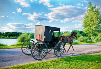 Fototapeta na wymiar Amish Horse and Buggy on Bright Summer Day by Lake
