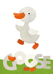 cartoon scene with happy goose on white background with name sign of animal - illustration for children