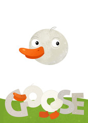 cartoon scene with happy goose on white background with name sign of animal - illustration for children