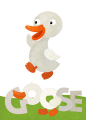 cartoon scene with happy goose on white background with name sign of animal - illustration for children