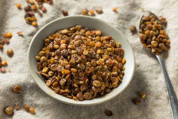 Healthy Homemade Roasted Lentil Snack